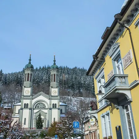 Black Forest Hotell Todtnau