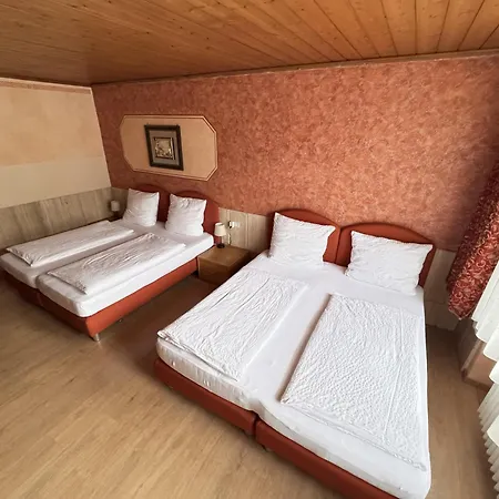 Hotel Black Forest *