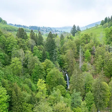 Black Forest