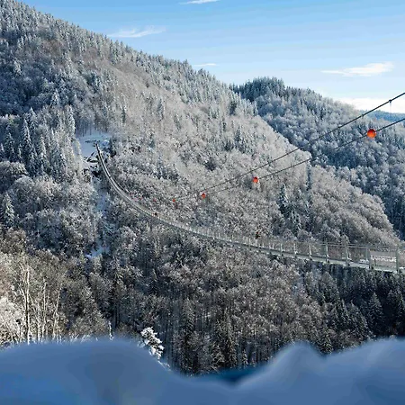 מלון Black Forest טודנאו