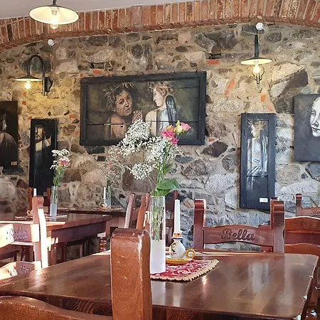 Black Forest טודנאו