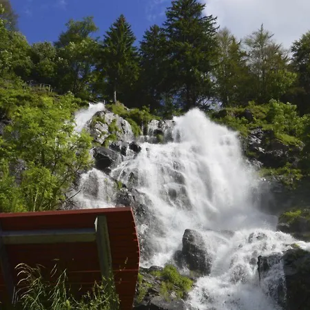 Black Forest מלון טודנאו