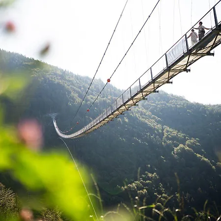 Black Forest טודנאו