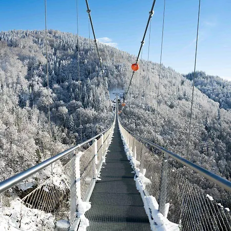 Black Forest מלון