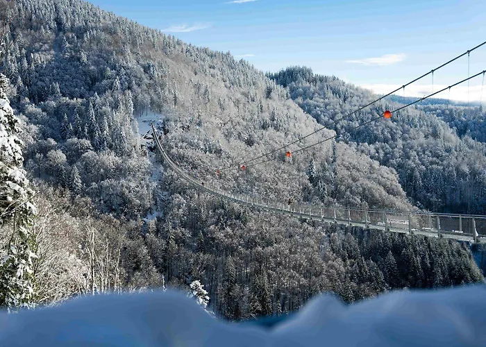 Hotell Black Forest Todtnau