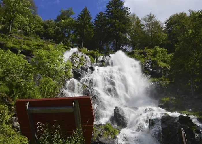 Black Forest Hotell Todtnau