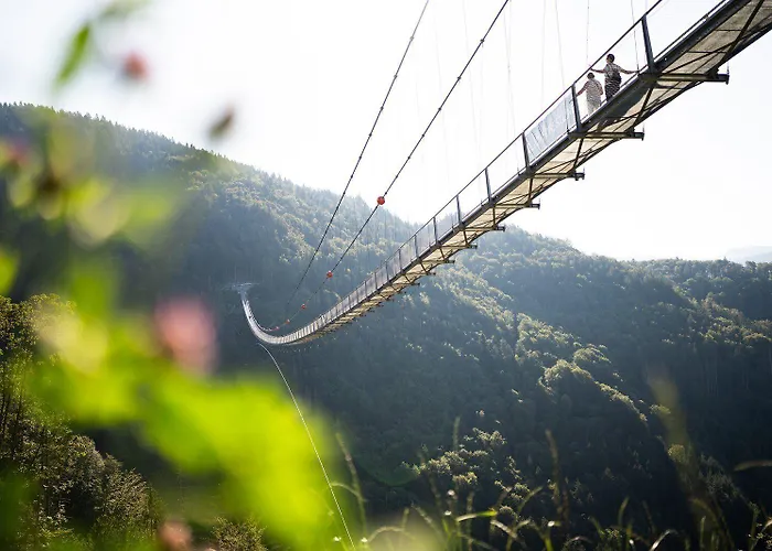 Hotel Black Forest Todtnau